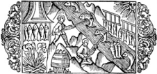 Laxfiske enligt Olaus Magnus 1555